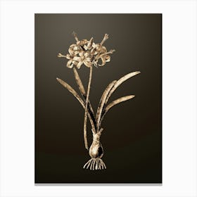 Gold Botanical Guernsey Lily on Chocolate Brown n.3216 Canvas Print