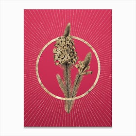 Gold Heather Briar Root Bruyere Glitter Ring Botanical Art on Viva Magenta n.0098 Canvas Print