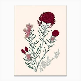 Red Clover Herb William Morris Inspired Line Drawing 2 Canvas Print