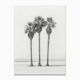 Three Palm Trees On The Beach 2 Canvas Print