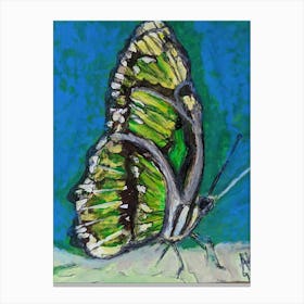 Green Butterfly Canvas Print