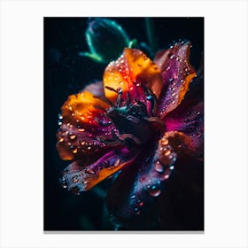 Water Droplets On A colorful Flower Canvas Print