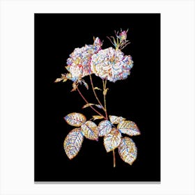 Stained Glass Damask Rose Mosaic Botanical Illustration on Black n.0033 Canvas Print