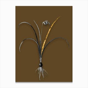 Vintage Brimeura Black and White Gold Leaf Floral Art on Coffee Brown n.0269 Canvas Print