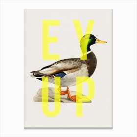 Ey Up Duck Canvas Print