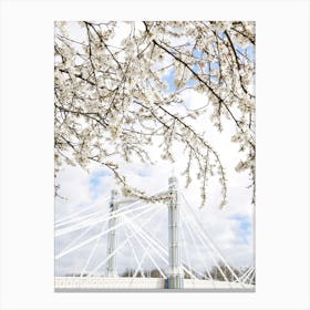 Albert Bridge Blossom Canvas Print