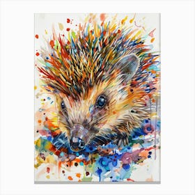 Hedgehog Colourful Watercolour 3 Canvas Print