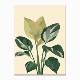 Hosta Plant Minimalist Illustration 5 Canvas Print