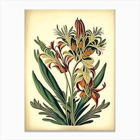 Kangaroo Paw 3 Floral Botanical Vintage Poster Flower Canvas Print