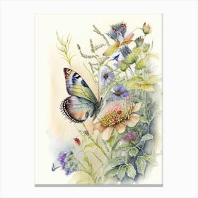 Butterfly In Garden Watercolour Ink 1 Canvas Print