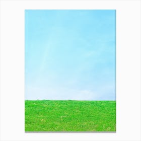 Green Field With Blue Sky 1 Canvas Print