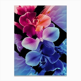 Orchids 1 Canvas Print