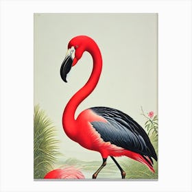 Flamingo James Audubon Vintage Style Bird Canvas Print