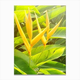 Bird Of Paradise Canvas Print