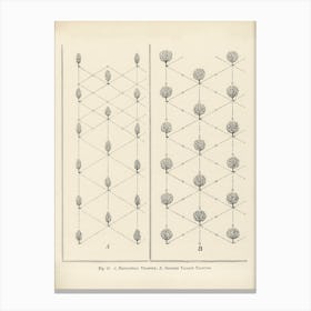 Vintage Illustration Of Equilateral Triangle, John Wright Canvas Print