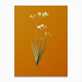 Vintage Freesia Botanical on Sunset Orange n.0093 Canvas Print