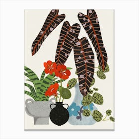 Still Life Garden Canvas Print