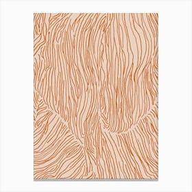 Abstract Lines In Terracotta Canvas Print