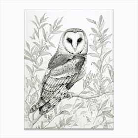 Oriental Bay Owl Drawing 2 Canvas Print
