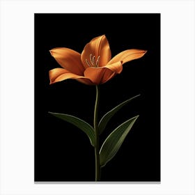 Orange Lily Canvas Print