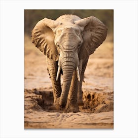 African Elephant Muddy Foot Prints Realism 1 Canvas Print