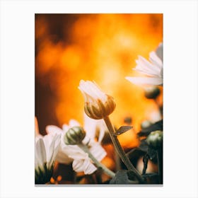 Poster Flower Art Print 18 Canvas Print