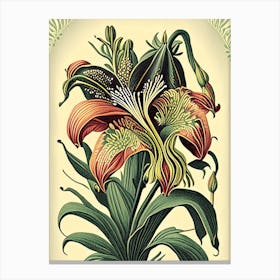 Inca Lily 2 Floral Botanical Vintage Poster Flower Canvas Print