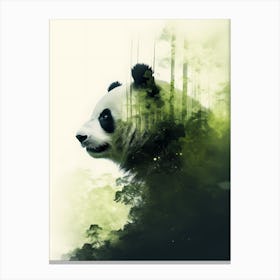 Panda Bear In The Forest 2 Canvas Print