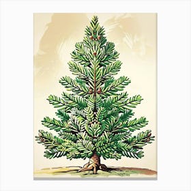 Fir Tree Storybook Illustration 3 Canvas Print