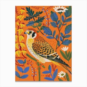 Spring Birds American Kestrel 1 Canvas Print