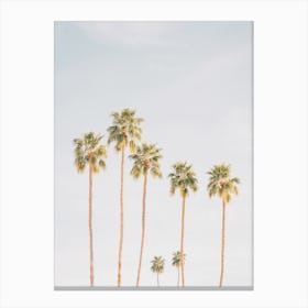 Socal Palm Trees Canvas Print