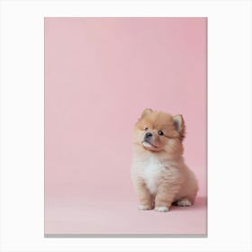 Pomeranian Puppy.Generated AI. Wall Art Print Canvas Print