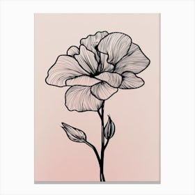 Gladioli Line Art Flowers Illustration Neutral 18 Canvas Print