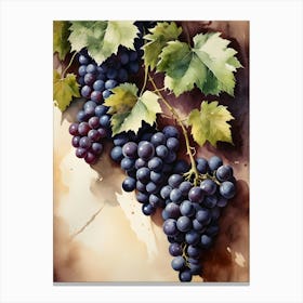 Vines,Black Grapes And Wine Bottles Painting (22) Canvas Print