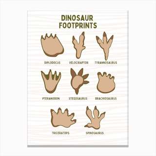 Dinosaur Footprints Canvas Print