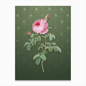 Vintage Provence Rose Bloom Botanical on Lunar Green Pattern n.0587 Canvas Print