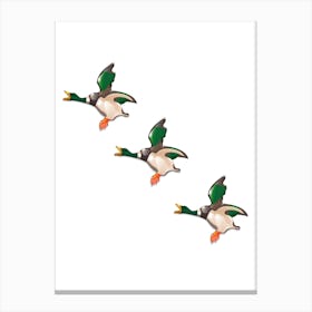 Three Porcelain Ducks In Flight Canvas Print