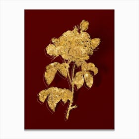 Vintage Duchess of Orleans Rose Botanical in Gold on Red n.0572 Canvas Print