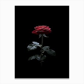 Rose On A Black Background 7 Canvas Print