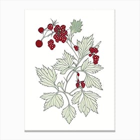 Schisandra Herb William Morris Inspired Line Drawing 1 Canvas Print