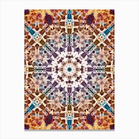 The Brown Pattern Is A Star Canvas Print