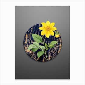 Vintage Dahlia Simplex Botanical in Gilded Marble on Soft Gray Canvas Print