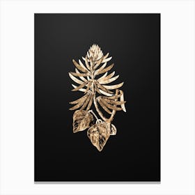 Gold Botanical Naked Flowering Erythrina on Wrought Iron Black n.2059 Canvas Print
