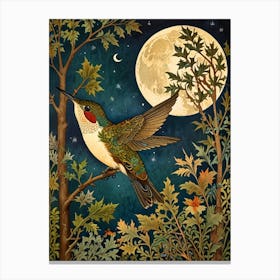 William Morris Hummingbird At Night Canvas Print