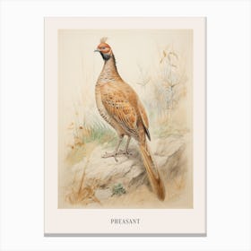 Vintage Bird Drawing Pheasant 3 Poster Canvas Print