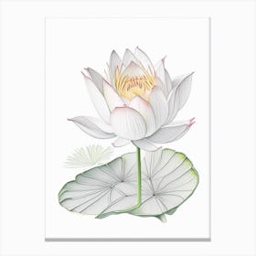Water Lily Floral Quentin Blake Inspired Illustration 1 Flower Canvas Print