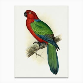 Parrot 20 Canvas Print