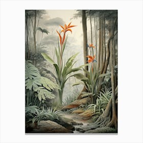 Vintage Jungle Botanical Illustration Bird Of Paradise 1 Canvas Print