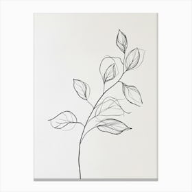 Leaves On A Branch 2 Canvas Print