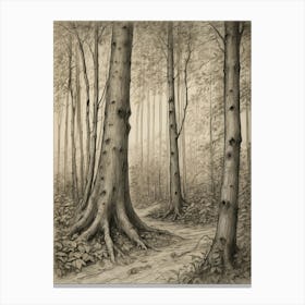 Forest Path Canvas Print